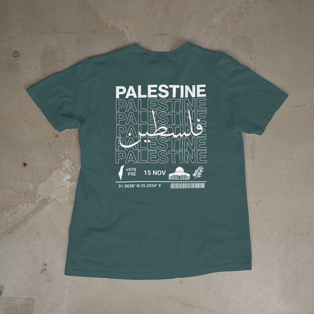 Roots: Palestine