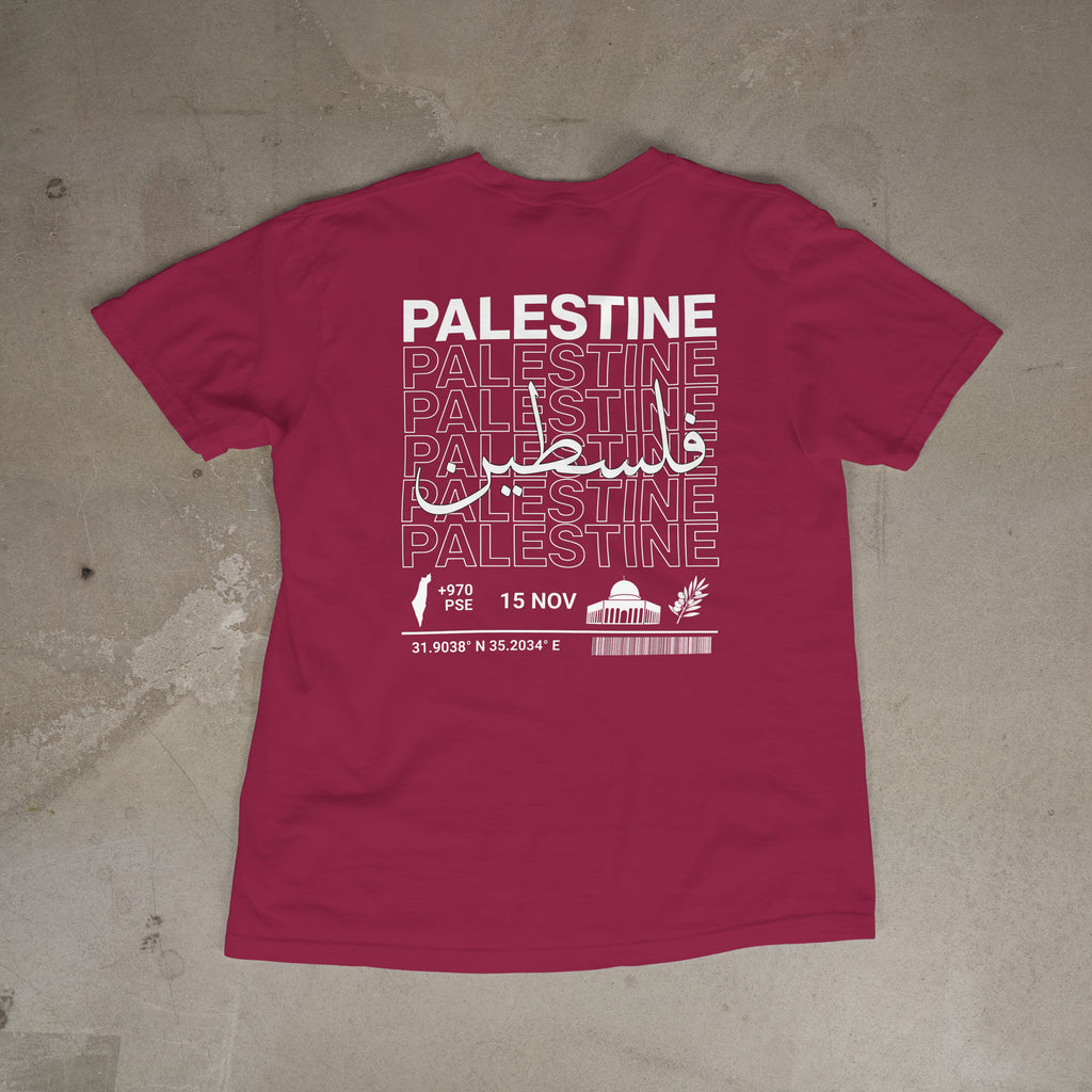Roots: Palestine